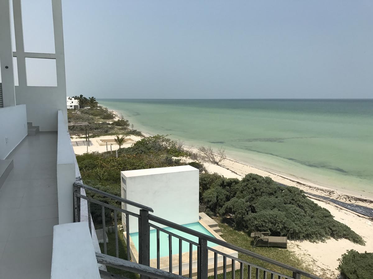 Beachfront Villa Solarium Garden House 1 San Benito Exterior photo